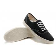 Chaussure Vans Authentic Homme